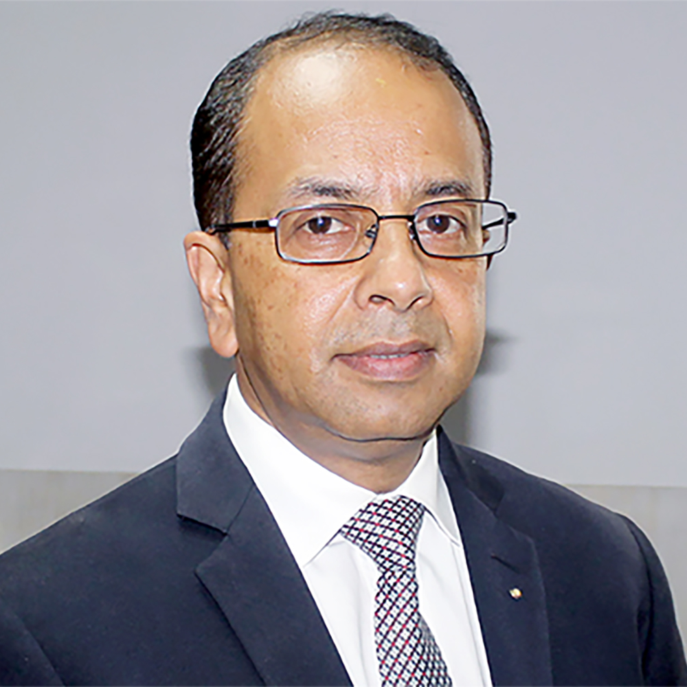 Mr. Birendra Raj Pandey